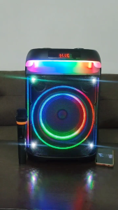 V2S P1006 POWERFUL SOUND PARTY SPEAKER WITH MULTI CONNECTION RING LIGHTSHOW RECHARGEABLE MICROPHONE