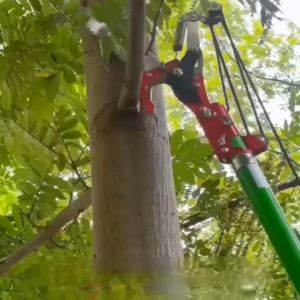 Kéo cộng lực giật dây cắt cành trên cao 3m kèm lưỡi cưa cao cấp