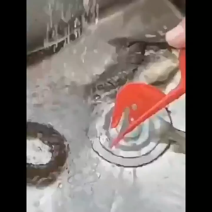 Dao Mổ Cá Làm Lòng Gà Lòng Vịt mổ bụng cá đa năng Siêu Bén