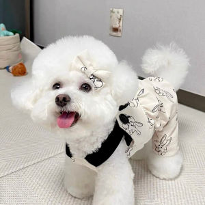 Quần Legging Mỏng Mùa Hè Cho Chó Teddy Bichon Pomeranian Yorkie Quần Bốn Chân Cho Chó Cưng Nhỏ Thương Hiệu Pet Beibei