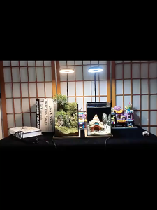 植物灯  TERRARIUM LIGHT led Micro Landscape USB Lamp Wooden Base Aquarium Fish Tank 微景观植物灯 多肉盆栽植物水族灯