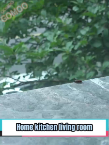 ✅ Buy 2 free 1✅Cockroach Gel Bait Non-toxic Repellent Cockcroach killer Poison Cockroach Trap Home Car Kill 100% Cockroach