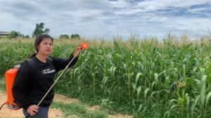 เครื่องพ่นยาแบตเตอรี่รุ่น KASAI PRO รุ่นKS-20HSD PRO ขนาด 20 ลิตร ปั้มคู่