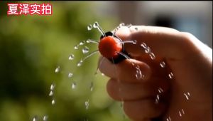 สำหรับสายขนาด 4/7 และ 5/7 มิล หัวน้ำหยด 8 รู กับ นำ้หยด และ นำ้พู่ พร้อมกับปรับอัตตราการไหลได้ ประกอบไม่กี่วัน