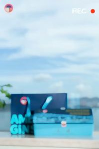 American Ginseng Tea Nourishing Qi And Tonifying Blood 养生茶（2g x 36）