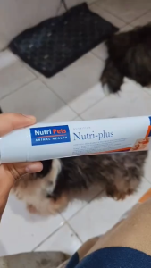 【EXP:02/2027】FDA Nutri-plus Gel Animal Health Pet Multivitamins for Dog & Cats Nutri Plus Nutriplus