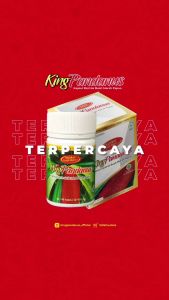 KING PANDANUS OBAT KANKER DIABETES KERING DAN BASAH STROKE 45 KAPSUL