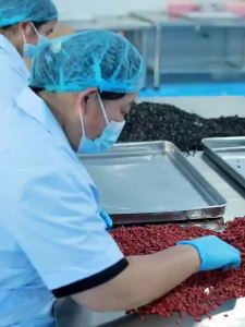 ＜1118＞  Minyak Krill Antartika   Gel Gula-Gula 42 Gram Fosfolipid dan Astaxanthin   Minyak Krill dan Minyak Ikan Pihak Kilang Borong Cepat Jenis Popular