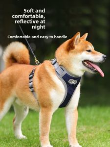 VOA | Dog Leash & Harness for Small to Large Breeds