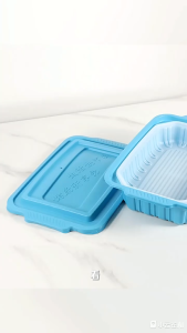 Disposable Self‑Heating Food Tray Flameless Water‑Activated Portable Food Container with 2 Heat Packs for Camping Picnic Party Catering