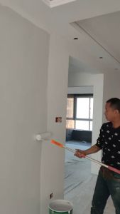 👉1KG👈Eco-Friendly Interior Latex Paint for Home Use - Formaldehyde-Free Self-Applying Color Paint White/Pink/Yellow/Blue/Green/Gray Wall Coating and Renovation