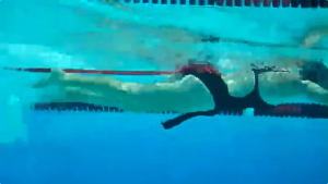 3pcs/Set Parasut Resistance Band Elastis Tali Resisten Untuk Latihan Renang Swim Training Cocok untuk segala usia