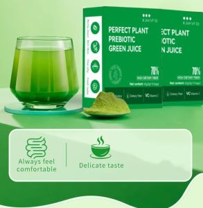 Promo 2 Box - Perpect Plant Probiotik Jus salad sayuran instan Minuman Pelangsing