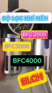 Bộ lọc khí nén BLCH BFC3000 REN 17MM