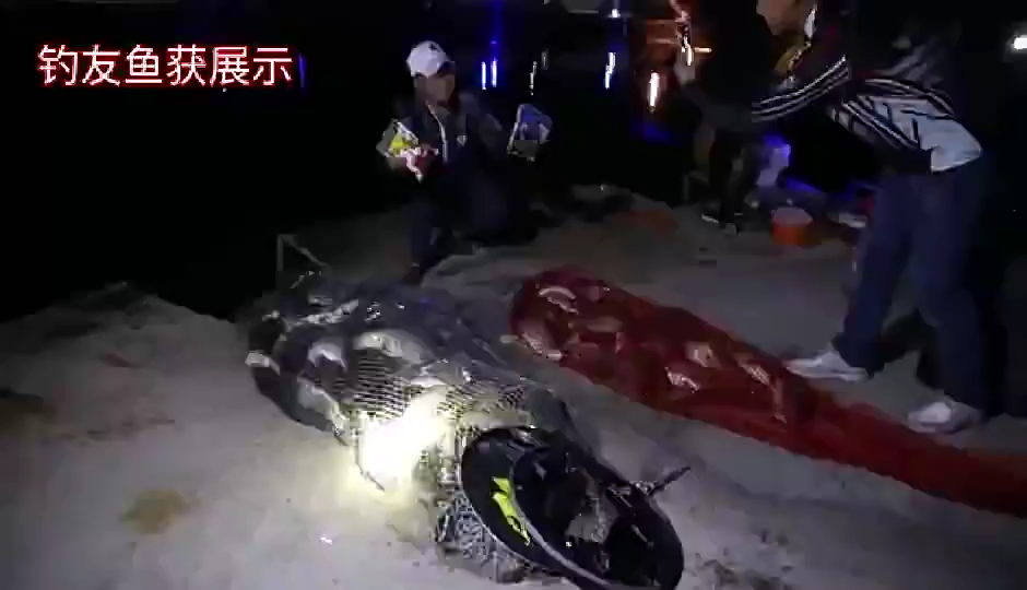 100 Grams Umpan Pelet Ikan Nila Untuk Semua Jenis Ikan Umpan Mancing Wangi Dan Amis Umpan Ikan Air Tawar