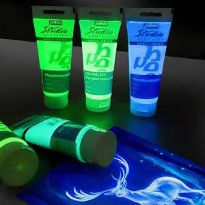 Pebeo Glow in the Dark Paint 100ml Acrylic Paint for Decoration Art Painting Canvas Rock Wood Fluorescent Pigment Art Supplies