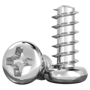 TIANZHUOJINSHU | Stainless Steel Cross Recessed Head Tapping Screws