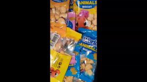 World Animals Biscuits 30pcs SUGAR CRASH