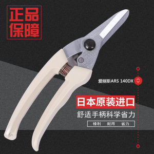 ARS Alice 140DX Pruning Shears Fruit Picking Garden Tools Bonsai Tree Pruning Scissors Floral Arrangement Greenhouse Supplies