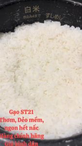 Gạo Sạch ST21 A.AN túi 5kg - Gạo thơm nhẹ hương tự nhiên rất dẻo mềm để nguội không bị khô rất thích hợp để nấu cháo