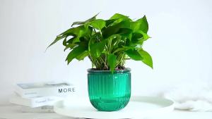 Hanging Flowerpot Self Absorbing Water Planter Thickened Plastic Plants Hydroponic Plant Vases Flower Pot Wall Bonsai Decor