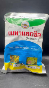 ประตูทอง เมทาแลกซิล ขนาด 100 กรัม กำจัดเชื้อรา ชนิดดูดซึม รากเน่าโคนเน่า ราน้ำค้าง โรคใบไหม้ ต้นเน่า ราน้ำค้าง ไฟท๊อปเทอร่า ใช้ในพืชทุกชนิด