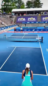 SG🔥 Pickleball Nets Portable Outdoor 22 FT Pickleball Net USAPA Size Pickle Ball Game Net System with Carrying Bag