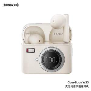 REMAX CozyBuds W33 New Arrival Retro Camera Gaming Earphone True Wireless Music and Call TWS Earbuds