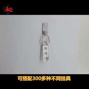 10 Pcs Picture Hangers Heavy Duty 304 Stainless Steel Picture Hanging Nails Professional Wall Nails Frames Hanging Hooks Wall Hanging Hardware for Home Office