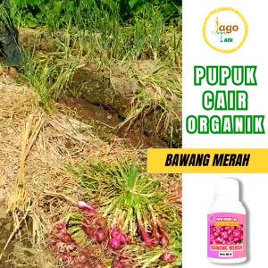 Pupuk Organik Cair Pelebat Bawang Merah 100 Ml Penggemuk Dan Penyubur Tanaman By Jagotani Yogyakarta