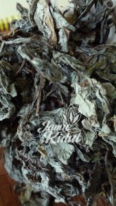 Daun Tempuyung Kering 1kg Asli Liar