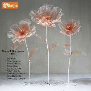 Realistic Colored Decorative Flowers