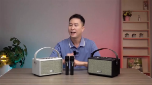 Loa Karaoke ACNOS S30 / S60 30W–60W 2 Micro Sạc USB-C Chính Hãng SONCAMEDIA - Bảo Hành 12 Tháng