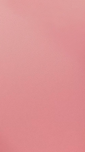 Paper Lunch Box Medium Laminasi 265 Gsm Lunch Box M (Isi 50 Pcs-LB1K153)