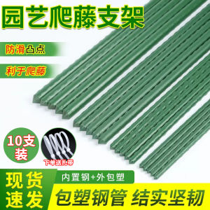 Garden Artistic Iron Plant Stand Vine Support Frame for Roses Grapes Cucumbers Tomatoes Beans Coated Steel Flower Rack