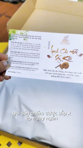 Nấm linh chi đỏ Đà Lạt còn nguyên bào tử nấm Dalat Cordyceps loại nguyên tai