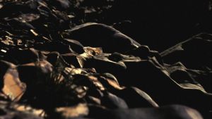 Garmin Instinct 3 AMOLED 50mm - Black Charcoal