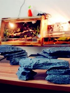 Turtle Jar Climbing Pet Insect Drying Table Drying Back Piece Stone Rock Schist Landscape Piece Rock Decorative Stone Combination Is Rockery Stone