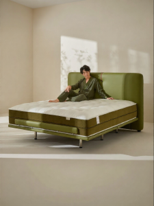 AI Lumbar Support Intelligent Adjustable Multifunction Quiet Mattress