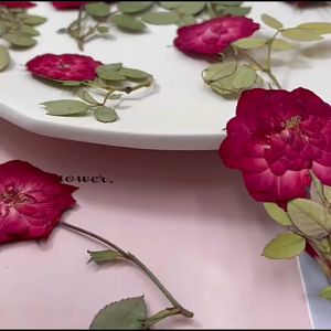 Dried roses Pressed dried flowers for resin crafts dried flowers for resin DIY