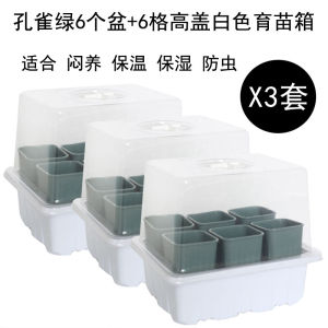Gardening Succulents Desktop Balcony Flower Pot Mini High Square Plastic Basin Minimalist Seedling Box