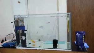 Pompa Filter Air Mesin Celup untuk Aquarium Ikan Hias Aquascape dan Hidroponik Amara SP 1200 A SP-1200 A