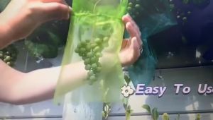 50Pcs Tas Jaring Perlindungan Buah Dengan Tali Serut Tas Tumbuh Anggur yang Dapat Digunakan Kembali Tas Jaring Penutup Stroberi
