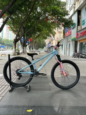 XDS | Single-speed Aluminum Mountain Bicycle 26 inches