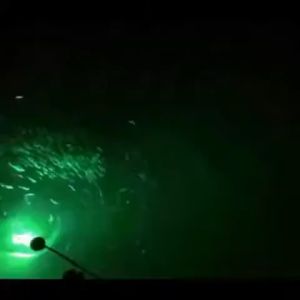 12V ไฟล่อหมึก กระเป๋า 5m สีเขียว ตั้งแต่ 15วัตต์ รุ่นแบบ ไฟใต้น้ำ ไฟล่อกุ้ง ไฟล่อปลา สำหรับร้านกรุงเทพ พร้อมส่ง