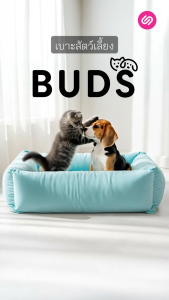 SiamLatex Buds เบาะหมาและแมว ผ้าเย็นสบาย ไม่ร้อน สำหรับทุกสายพันธุ์