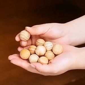 Kamper Kayu Kapur Barus isi 10 pcs Penghilang Bau Alami Anti Hama Anti Serangga Tikus Kecoa