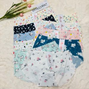 Sỉ 10 Quần lót nữ su cắt chất mền mát cực êm quần chíp nữ thun lạnh cao cấp