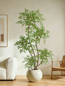 Realistic Decorative Indoor Plant