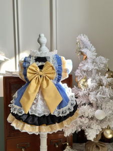 AW High-End Pet Clothing Snow White Lace Heavyweight Low Saturation Cat Yellow Blue Attention-Grabbing Color Block Design